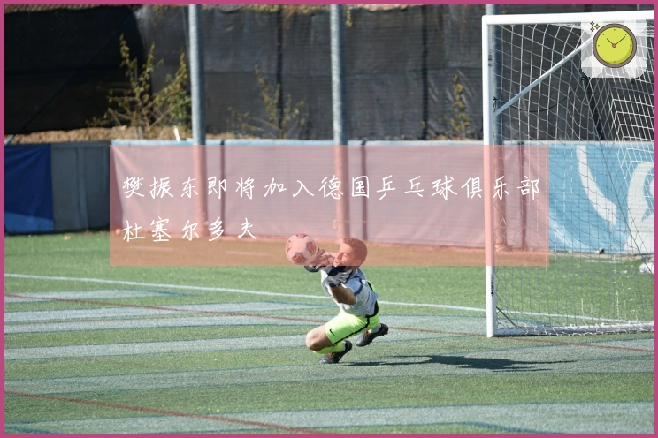 樊振东即将加入德国乒乓球俱乐部杜塞尔多夫